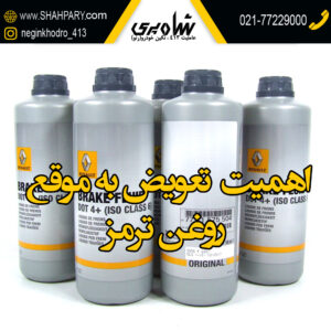 اهمیت تعویض به موقع روغن ترمز رنو